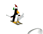 Pinguien beim Skifahren