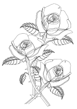 Malvorlagen Rosenblüten