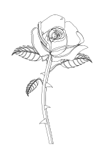 Malvorlage Rose