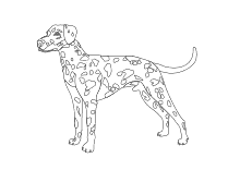 Ausmalbild Hund Dalmatiner
