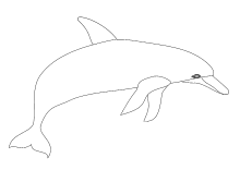 27 Die Besten Orca Wal Malvorlage