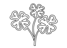 Glücksklee - vierblättrige Kleeblätter