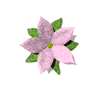 rosa Blume Blüte
