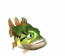 Blubber Fisch