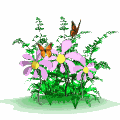 Frühlingsblumen mit Schmetterlingen