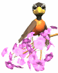 Vogel auf Frühlingsblumen