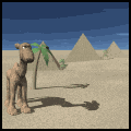 Pyramiden mit Kamel