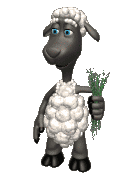 Ausmalbild Schaf frisst Gras