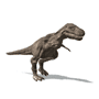 Dinosaurier Tyranosaurus Rex