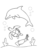 Meeresschildkröte, Delfin