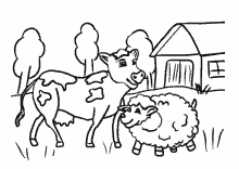 Kuh und Schaf vor dem Bauernhof