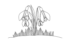 Malvorlage Schneeglöckchenwiese