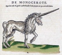 Monocerote - Einhorn-Zeichnung aus dem Buch Historiae animalium von 1551