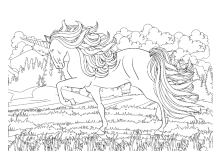 Pferd mit Horn