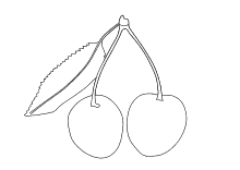 Malvorlage zwei Kirschen mit Blatt