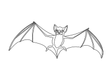 Fledermaus