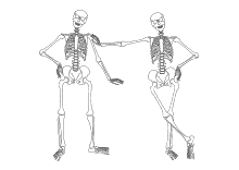 Zwei Skelette