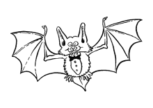 Vampir Fledermaus