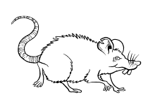 Böse Ratte