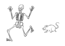 Skelett rennt von Ratte weg