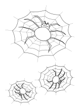 Spinnen in ihrem Netz