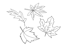 Ausmalbild vier verschiedene Herbstblätter