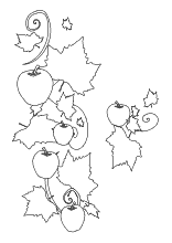 Malvorlage Laub mit Äpfel