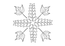 Ausmalbild verschiedene Herbstblätter