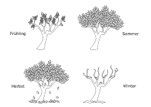 Ausmalbilder Baum im Frühling, Sommer, Herbst und Winter