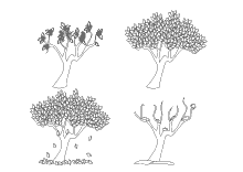 Malvorlage Baum in den vier Jahreszeiten