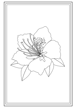 Blüten-Karte