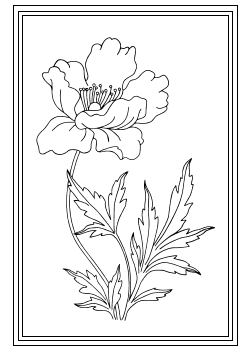 Karte Papaver