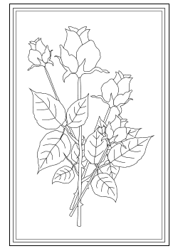 Doppelkarte mit vier Rosen