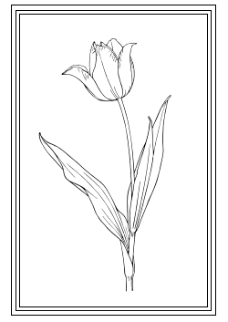 Tulpenkarte