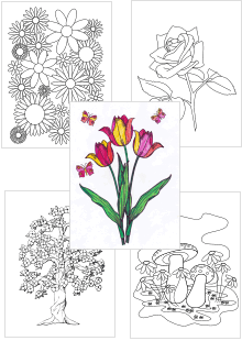 Mein persönliches Blumen-Zeichnungsbuch