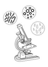 Mikroskop mit Keimen