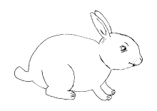 Kaninchen Malvorlage