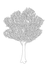 Malvorlage Baum mit Baumhaus