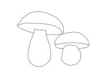Ausmalbild zwei Pilze