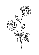 Malvorlage Rosenstiel mit drei Rosen