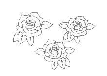 Ausmalbild drei Roseblüten