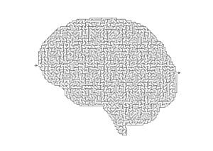 Rätselspass Gehirn
