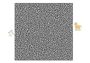 Maze