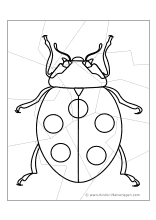 Legespiel Marienkäfer