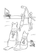 Zwei Hunde schauen beim Basketball Spiel zu