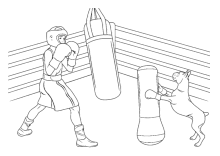 Boxer im Ring