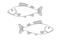 Sternzeichen Fische