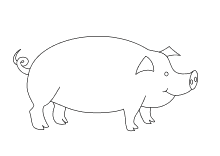 Ausmalbilder Schwein