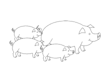 Ausmalbild Schwein mit drei Ferkel