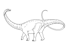 Diplodocus - pflanzenfressender Dinosaurier